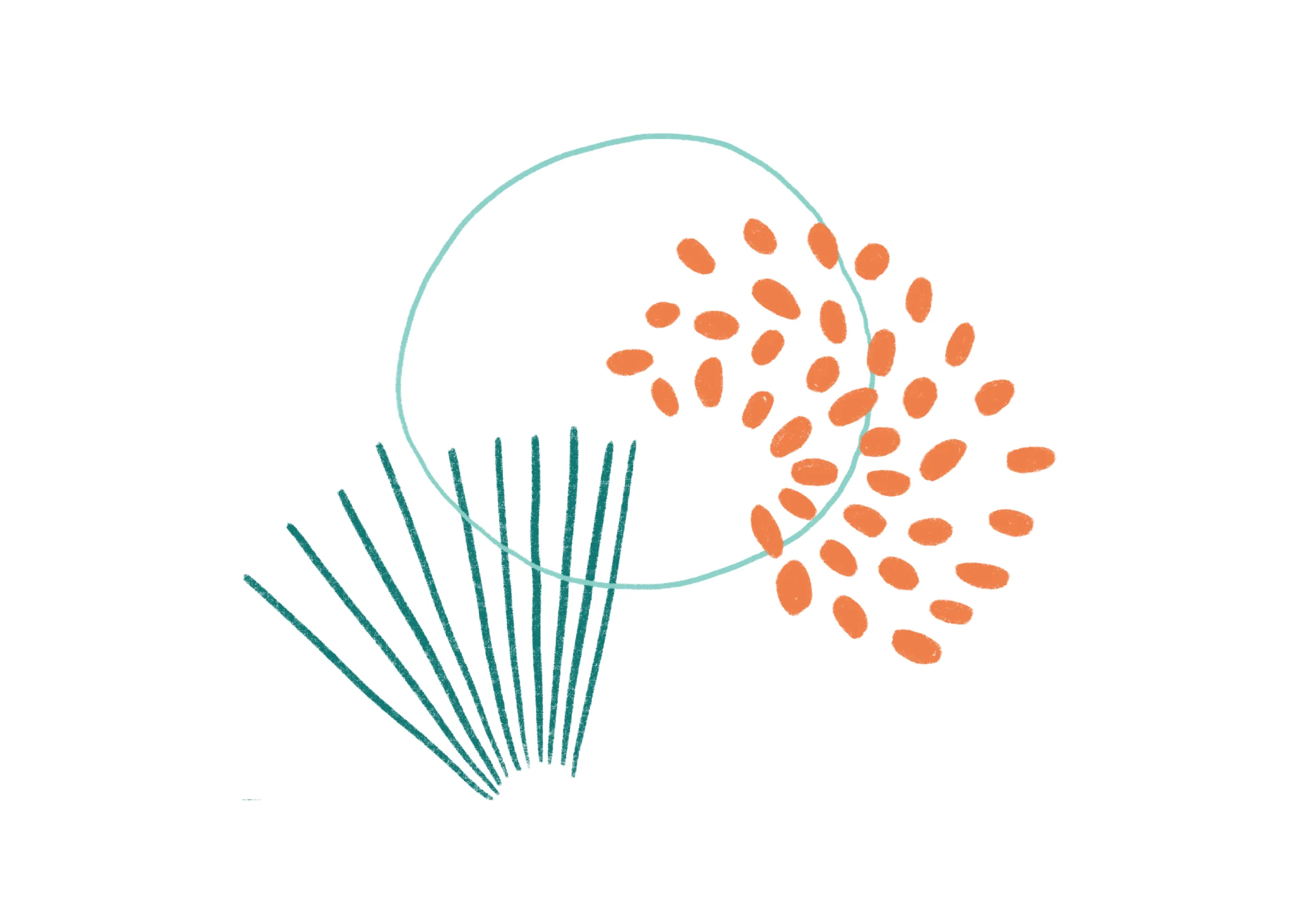 Kin Disability Advocacy 4