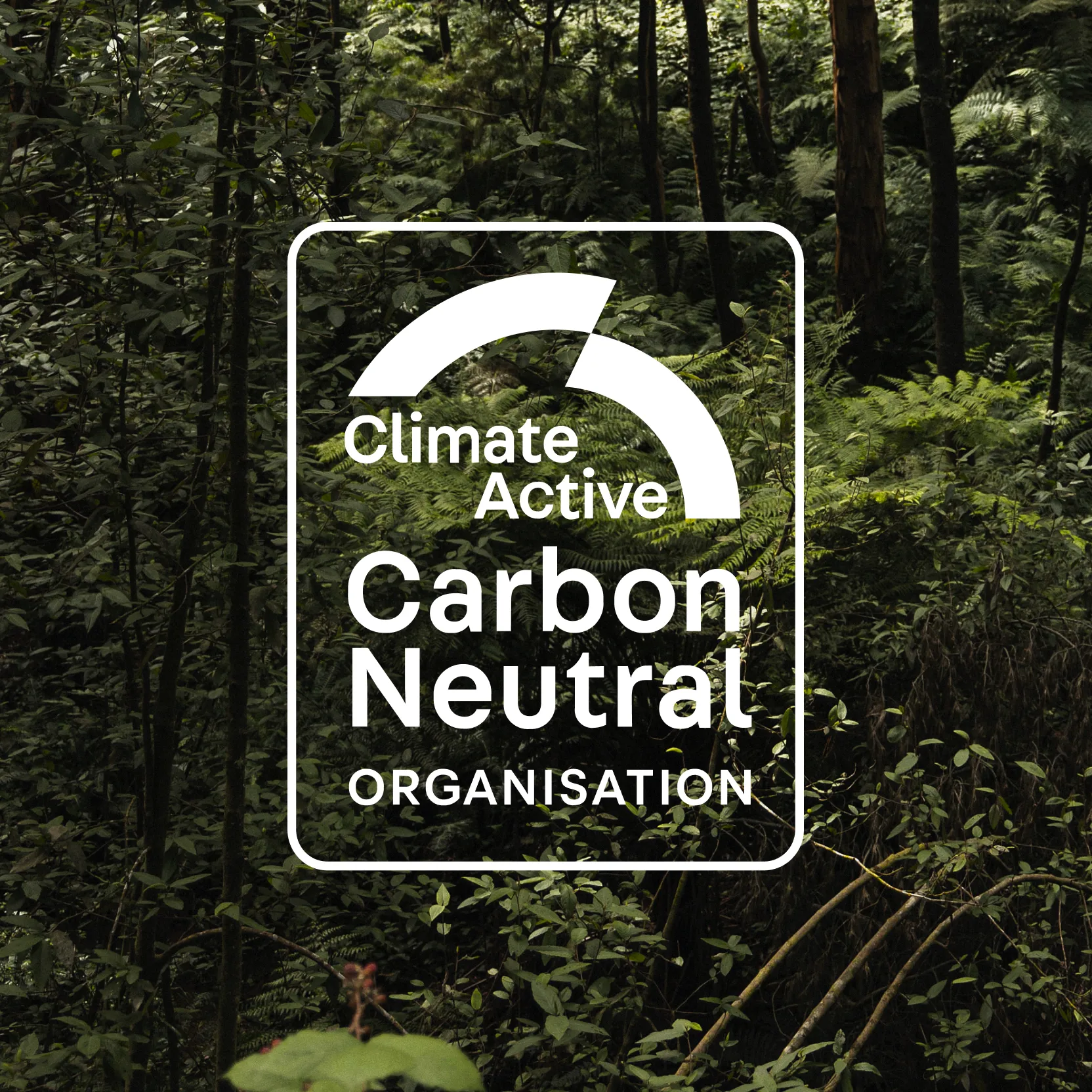 Today Strategic Design Carbon Neutral 2023 l