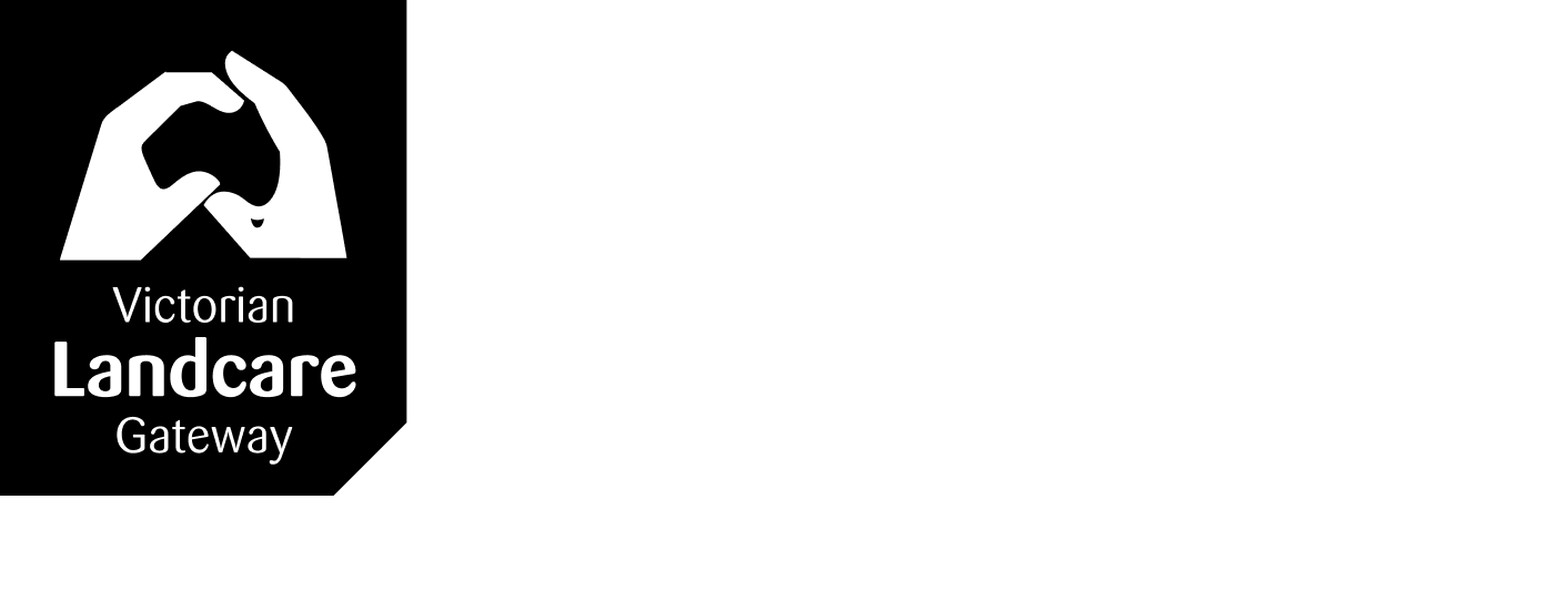 Websites and apps image