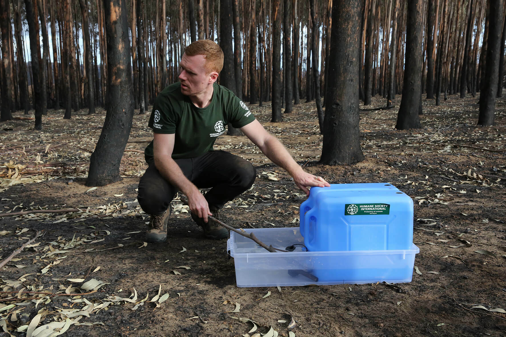 Large image for Photo: Jo-Anna Robinson/AAP Images for HSI