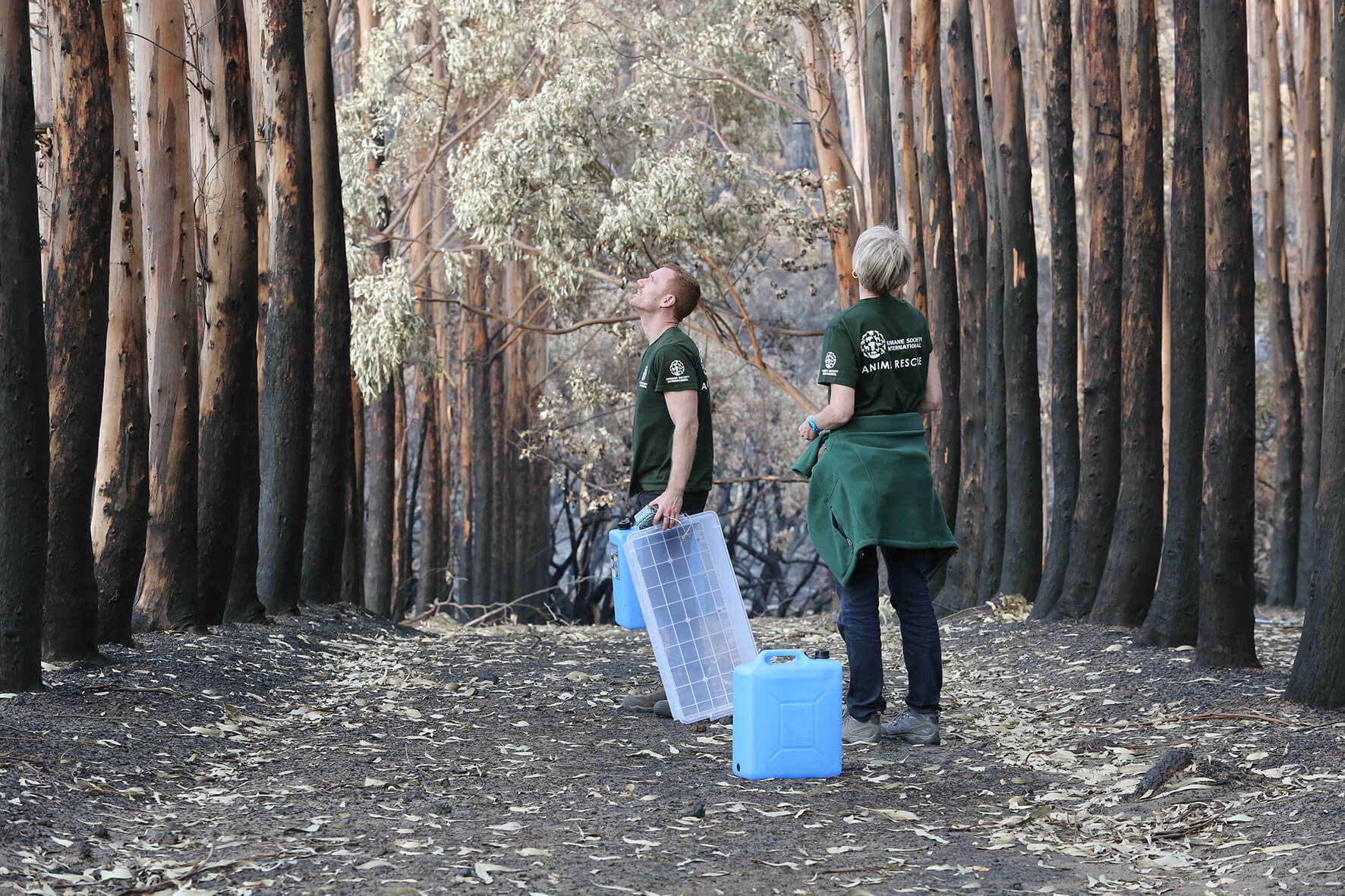 Small image for Photos: Jo-Anna Robinson/AAP Images for HSI